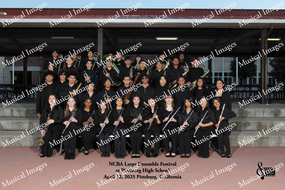 Musical Images